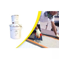 Colle bi-composant pour BEV et BAO COLPOZ 5