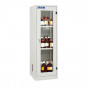 /armoires-de-securite/armoires-de-stockage-portes-vitrees-produits-chimiques-et-non-inflammables-p-4005345.2-600x600.jpg