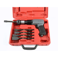 Coffret burineur avec 5 burins pneumatique - Cedrey Coffret burineur avec 5 burins pneumatique - Cedrey