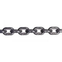 Chaîne de levage inox 316 L : élingues et accessoires