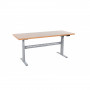 /etablis-modulables/table-de-travail-electrique-renforcee-1600-ou-2000-mm-p-6003104.3-600x600.jpeg