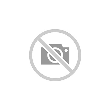 Agrafes professionnelles VX 06 mm GALVANISEE - Alsafix