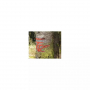 /peinture-de-marquage/traceur-forestier-longue-duree-strong-marker-p-4007231.1-600x600.jpg
