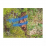 /peinture-de-marquage/traceur-forestier-longue-duree-strong-marker-p-4007231.2-600x600.jpg