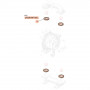 /pieces-detachees/pdr-kit-de-moteur-air-up20-samoa-p-6004066.8-600x600.jpg