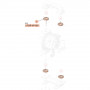 /pieces-detachees/pdr-kit-de-moteur-air-up20-samoa-p-6004066.9-600x600.jpg