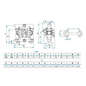 Pompe membrane 1" – série Pivot – PP conducteur – membranes multiples – fileté latéral – Samoa