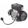 /pompes-electriques-de-transfert/pompe-electrique-diesel-a-palettes-230-v-ca-50-a-95-l/min-serie-polaris-samoa-p-6004274.2-600x600.jpg