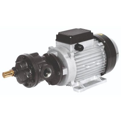 Pompe électrique HP Huile – 400 V CA – 50 et 70 l/min – 1 500 W – Série Flowstar HP – Samoa