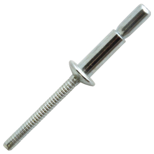 Rivets structures