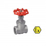Robinet opercule femelle gaz inox 316 - Qualité et Durabilité