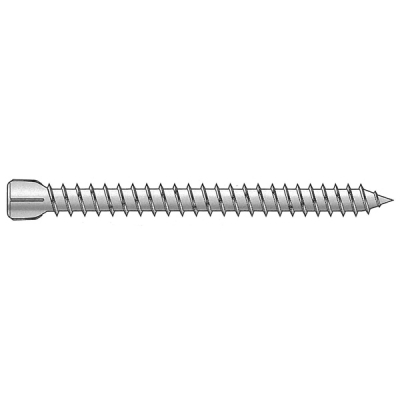 Vis d'ancrage tête cylindrique TX25