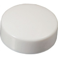 Capuchon plat pour vis plastique P.A 6.6 - Qualité Précision Capuchon plat pour vis plastique P.A 6.6 - Qualité Précision